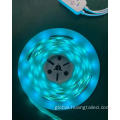 Led Light Strip Rgb 24v Waterproof LED LED SMD Strip Light Manufactory